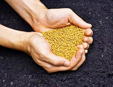 Fertilizers-phosphate fertilizers-peat fertilizers